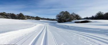 赛事赞助商定制化合作方案