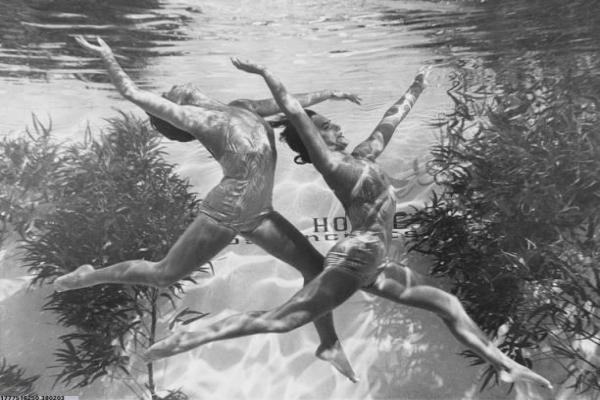 阐述一项休闲体育项目的多重价值(图1)